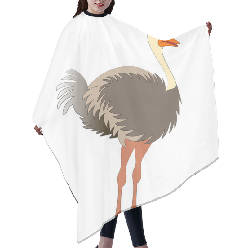 Personality  Nice Young Ostrich Hair Cutting Cape