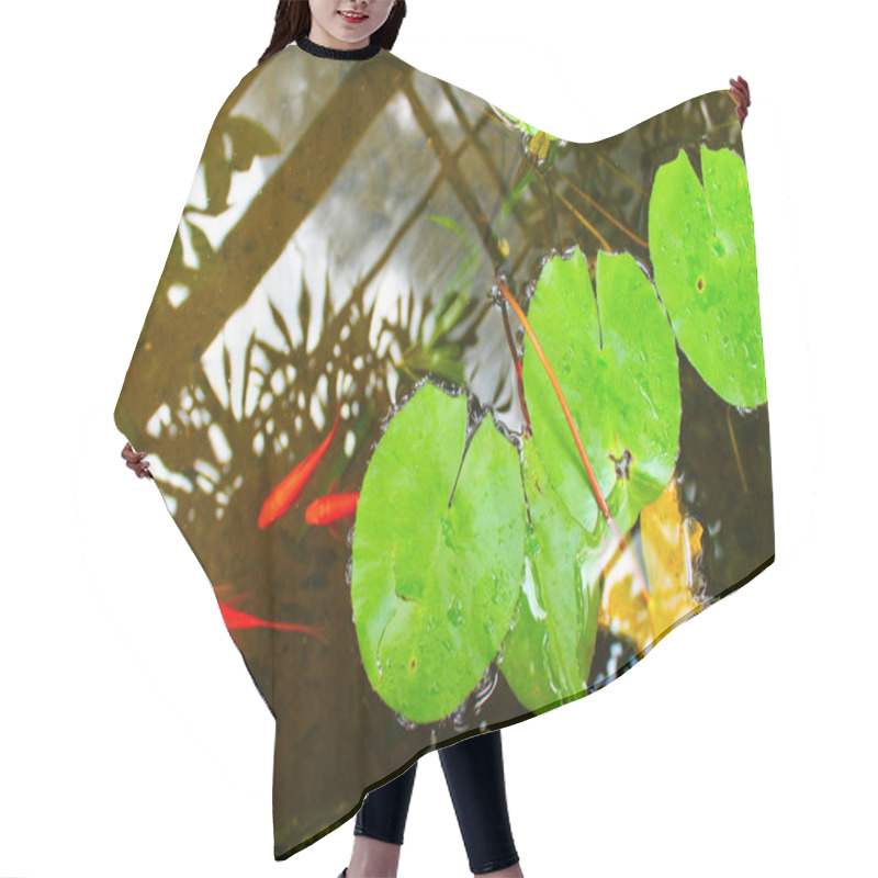 Personality  Zen Lake Hair Cutting Cape