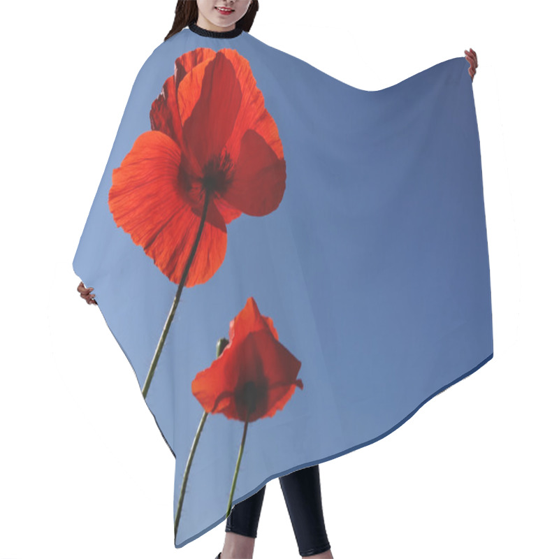 Personality  Poppies Over Blue Sky Hair Cutting Cape