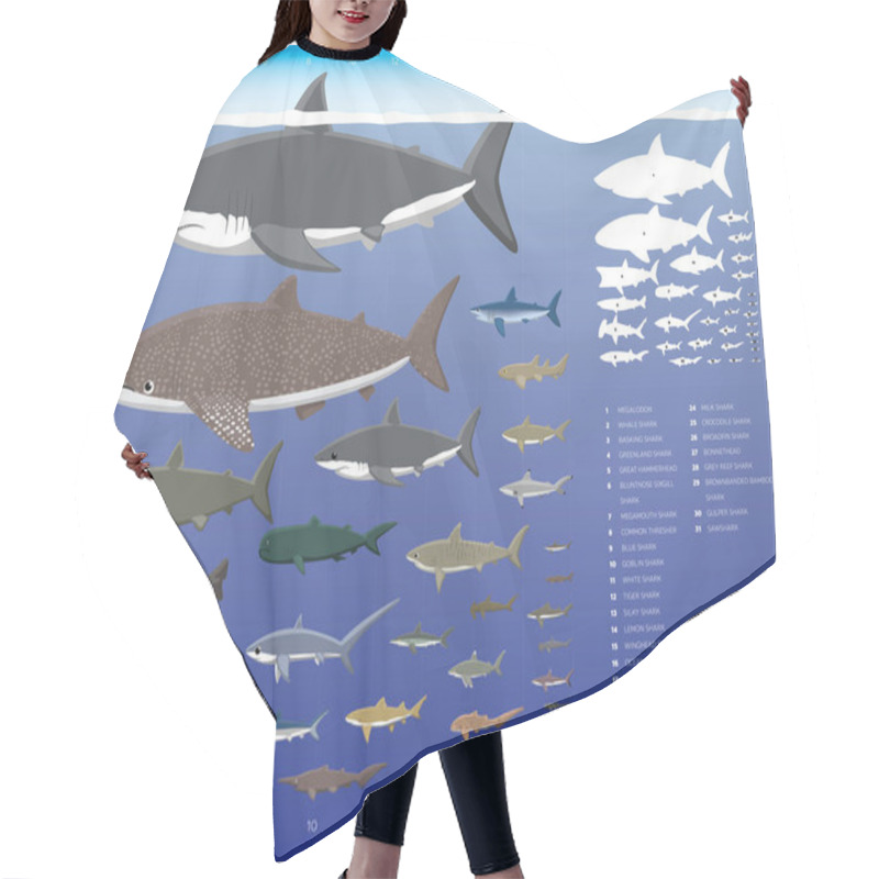 Personality  Shark Sizes Comparisons Cartoon Vector Illustration Set Hair Cutting Cape