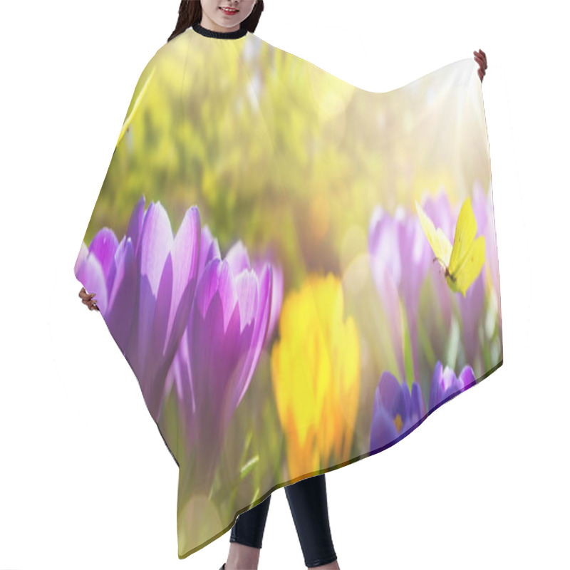 Personality  Beautiful Spring Background. Blossom Spring Flowers On Morning S Hair Cutting Cape