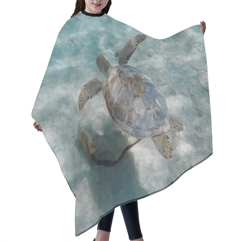 Personality  An Illustration Of A Sea Turtle Swimming Over A Sandy Area Of The Ocean. Hair Cutting Cape