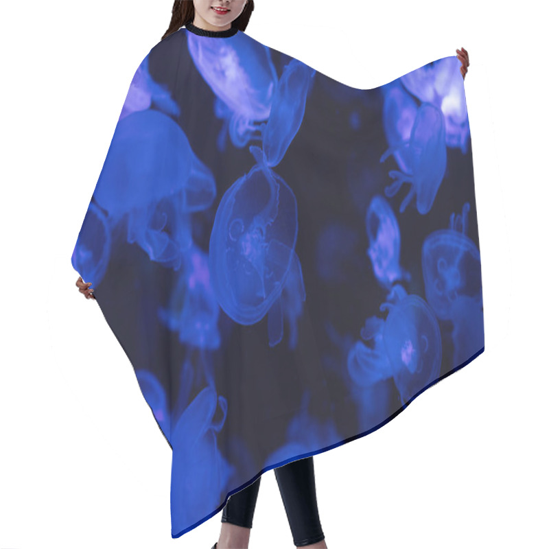 Personality  Jellyfishes Swimming Under Water In Aquarium With Blue Lighting Hair Cutting Cape