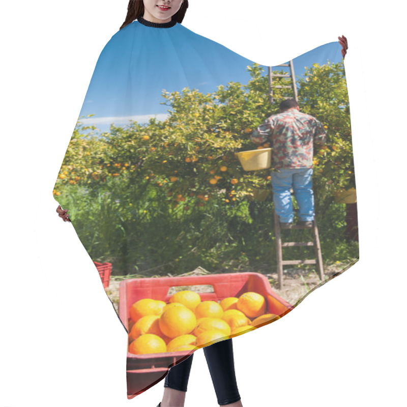 Personality  Harvest Season Hair Cutting Cape