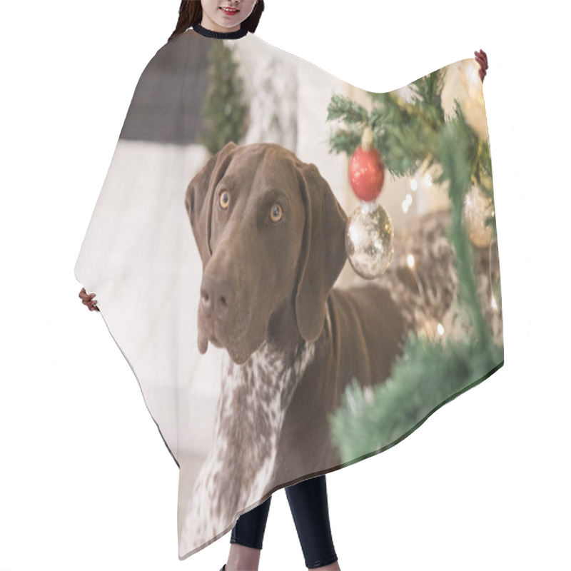 Personality  Close Up Of Dog And Christmas Tree Hair Cutting Cape