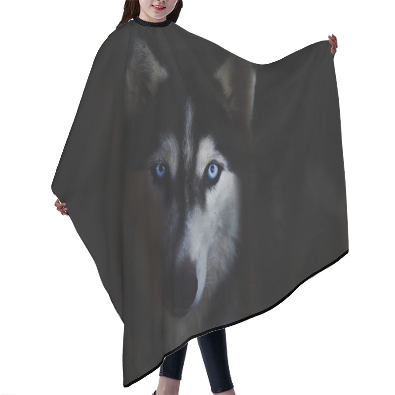 Personality  Siberian Husky Hair Cutting Cape