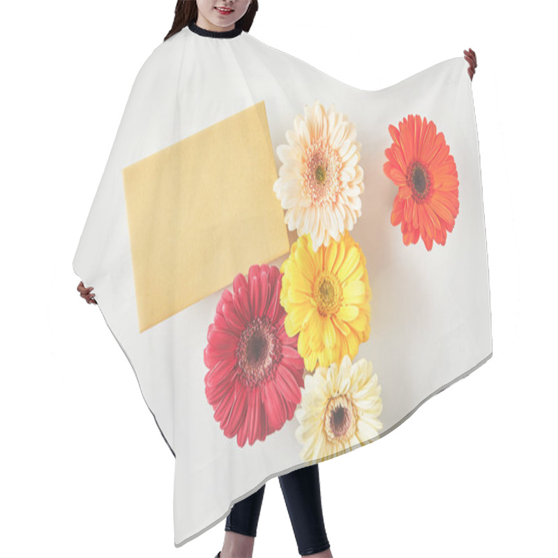 Personality  Top View Of Blank Card And Beautiful Gerbera Flowers On Grey  Hair Cutting Cape