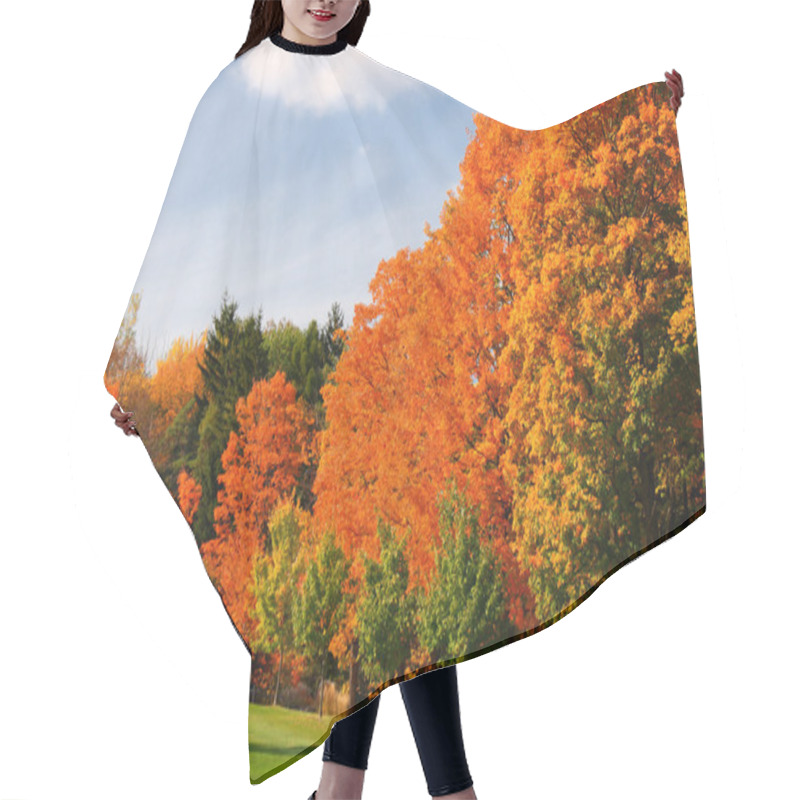 Personality  Autumn Glory Hair Cutting Cape