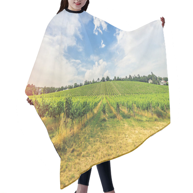 Personality  Vineyard On Bright Summer Day Under Blue Sky With White Clouds In Vienna Austria Hair Cutting Cape