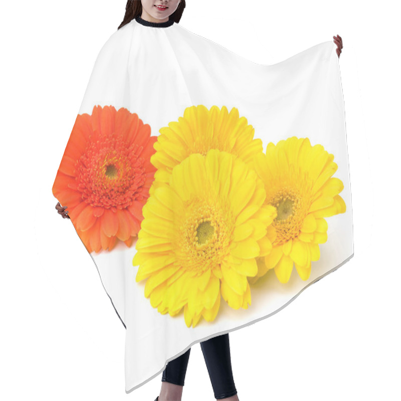 Personality  Beautiful Daisy Gerbera Flowers Hair Cutting Cape