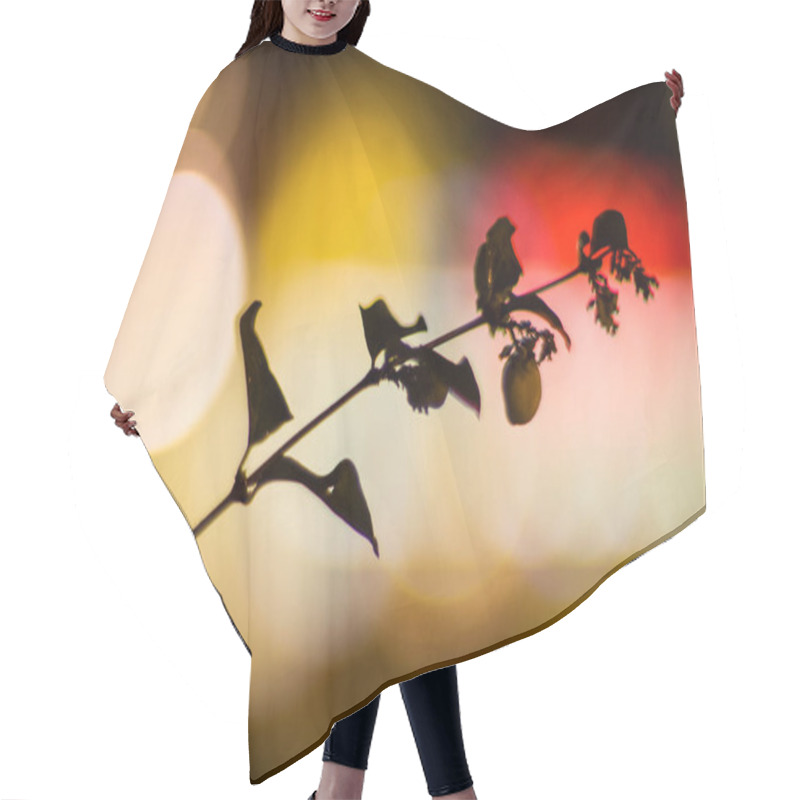 Personality  Photo Of Branch Silhouette Against Bokeh Glow Hair Cutting Cape