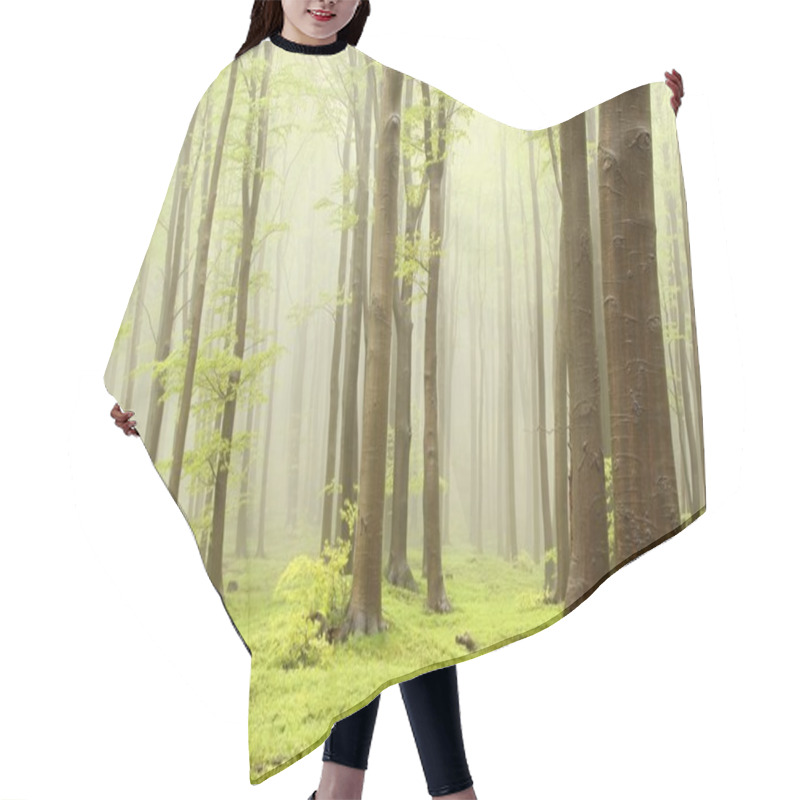 Personality  Beech Forest In The Fog Hair Cutting Cape