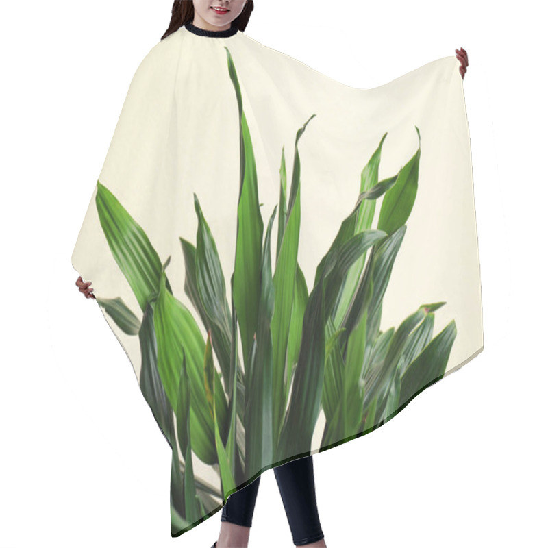 Personality  Tropical Leaves On Beige Background, Closeup. Stylish Interior Element Hair Cutting Cape