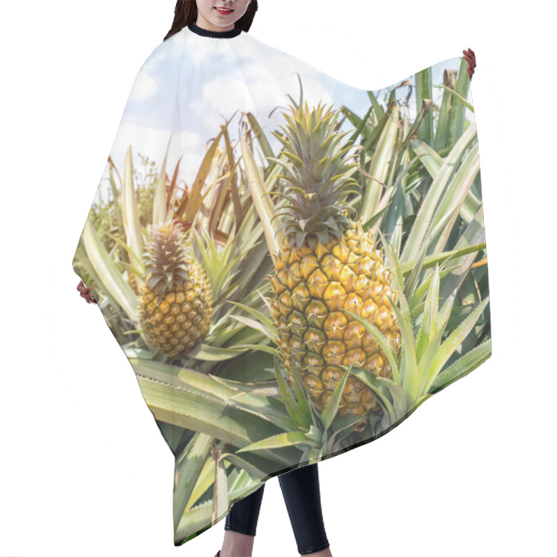 Personality  Pineapple Fruit On The Plantation Farm Hair Cutting Cape