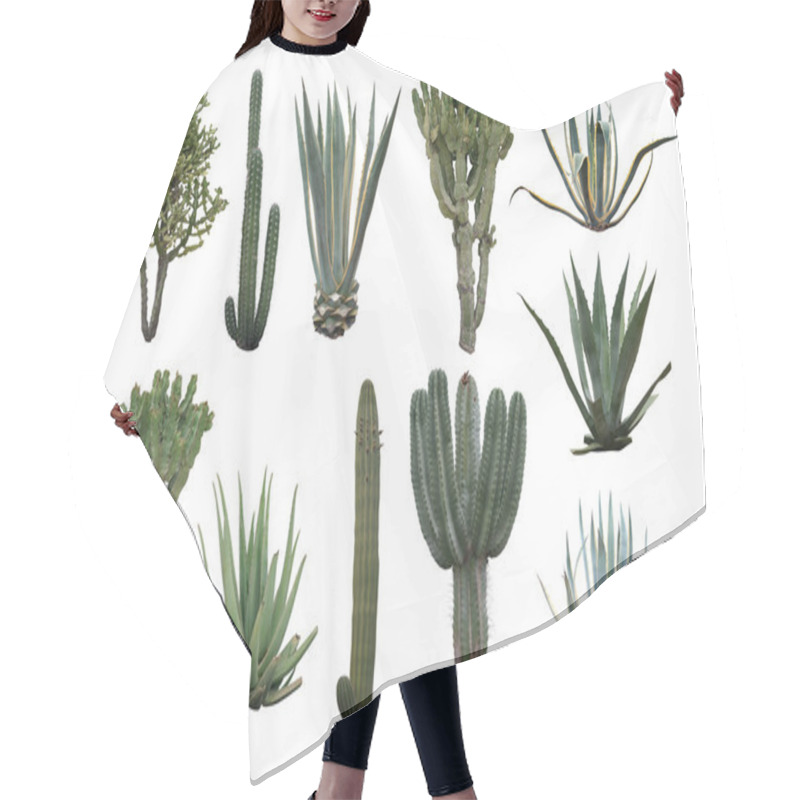 Personality  Cactus Collection Isolated On White Hair Cutting Cape