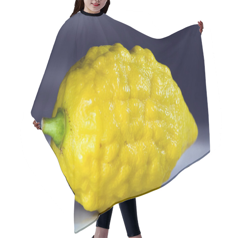 Personality  Etrog Hair Cutting Cape