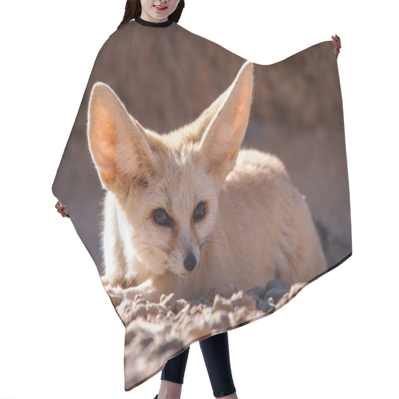 Personality  Desert Fox Hair Cutting Cape