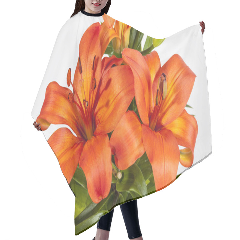 Personality  Vivid Orange Asian Lilies On Green Stems Hair Cutting Cape