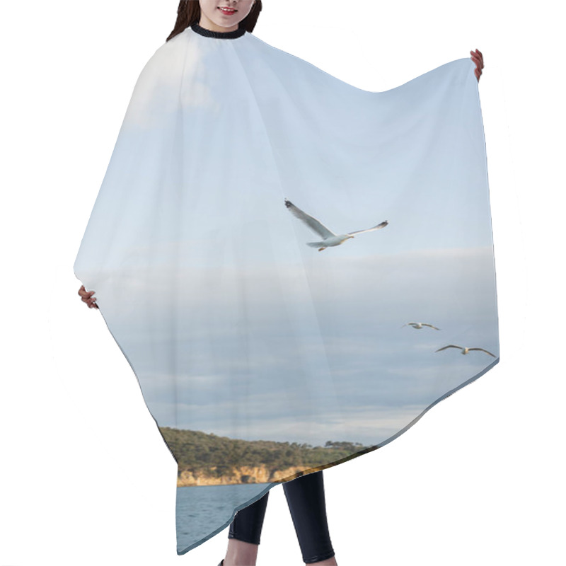 Personality  Scenic View Of Gulls Flying Above Sea With Coast At Background In Turkey  Hair Cutting Cape