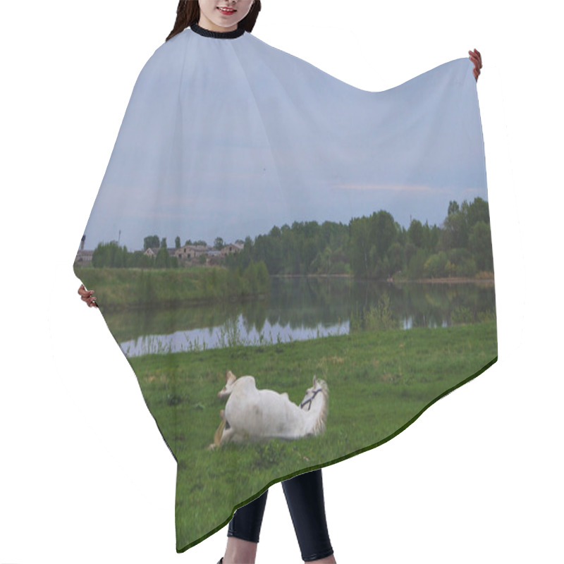 Personality  A Wounded White Horse Lying On A Grass Land In Summer Hair Cutting Cape