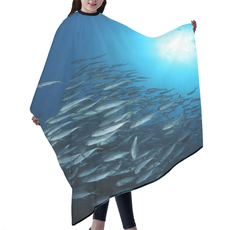 Personality  Coral Life Diving Indonesia Sea Ocean Hair Cutting Cape