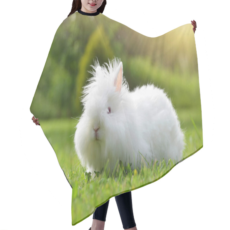 Personality  Funny Baby White Teddy Rabbit Sitting On Green Grass. Hair Cutting Cape