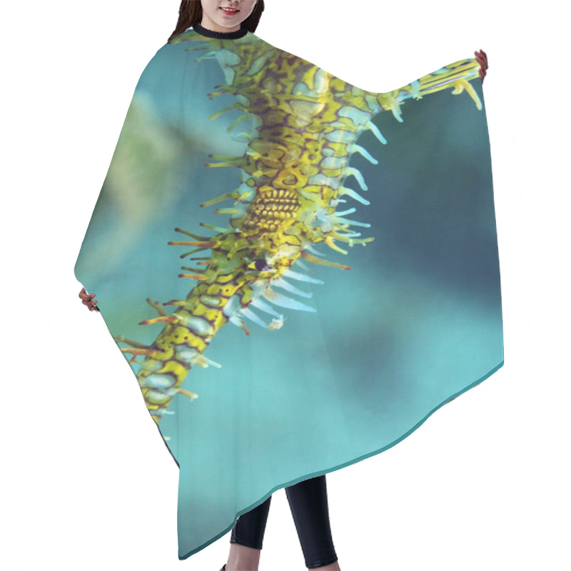 Personality  Harlequin Ghost Pipefish Hair Cutting Cape