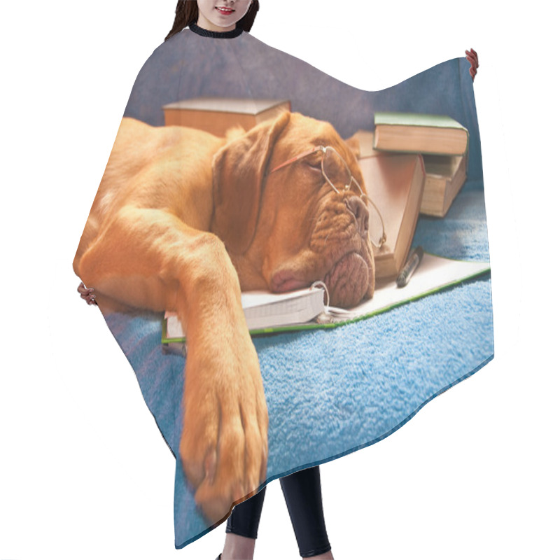 Personality  Sleeping Dog Hair Cutting Cape