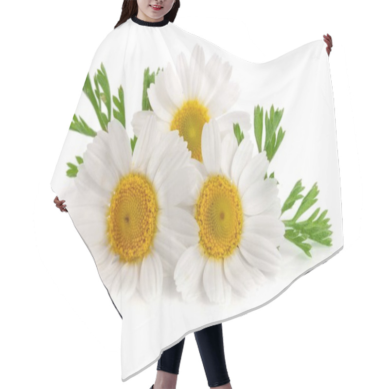 Personality  Three Chamomile Or Daisies With Leaves Isolated On White Background Hair Cutting Cape