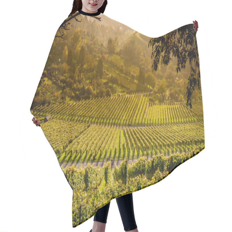 Personality  Vineyards And Paths To Wander Through Them Hair Cutting Cape