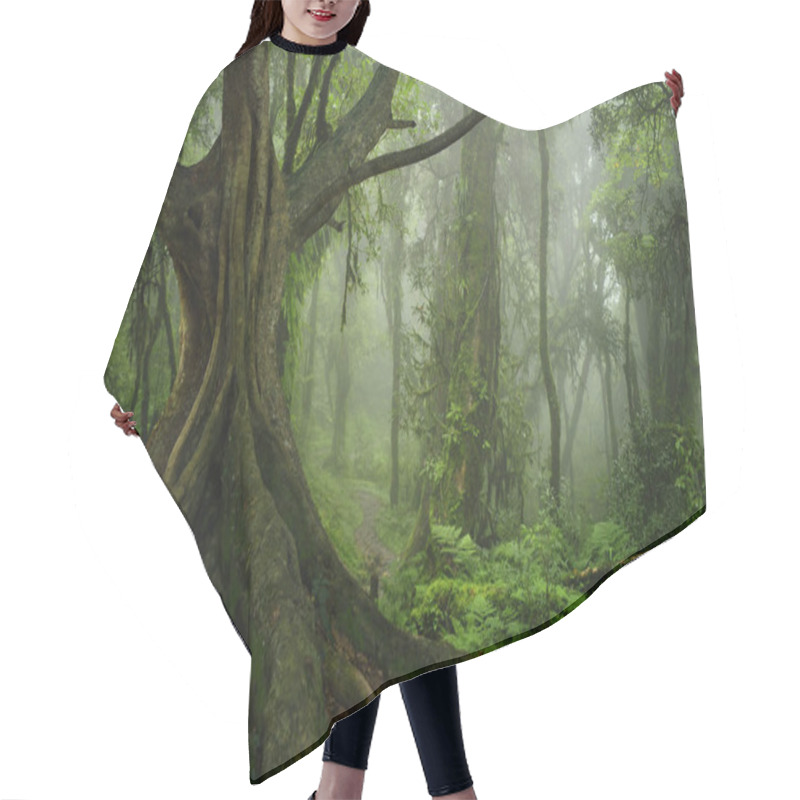 Personality  Tropical Rain Forest In Asia Hair Cutting Cape