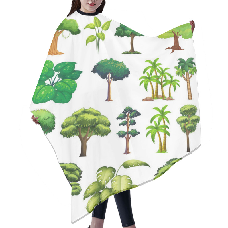 Personality  Set Of Variety Plants And Trees Illustration Hair Cutting Cape