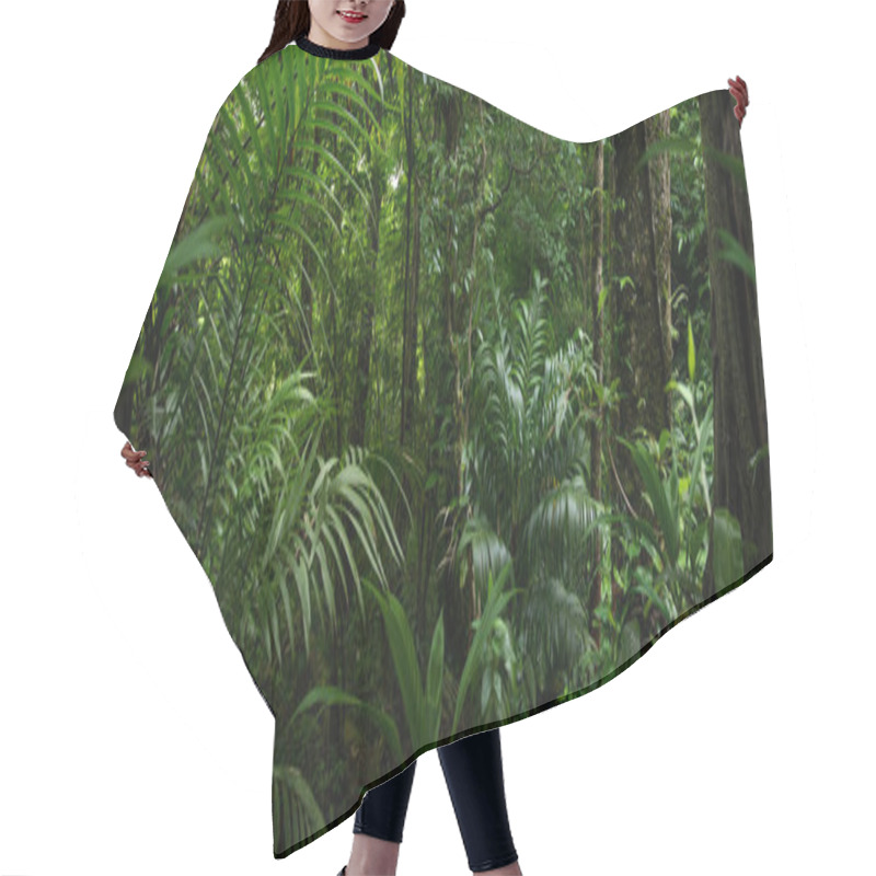 Personality  Tropical Rainforest In Costa Rica Hair Cutting Cape