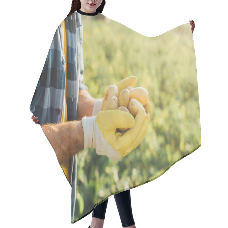 Personality  Cropped View Of Farmer In Plaid Shirt And Gloves Holding Fresh Potatoes In Cupped Hands Hair Cutting Cape