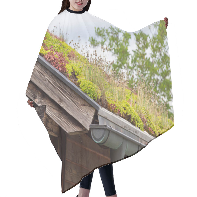 Personality  Close Up Of Green Roof, Tiles Covered With Plants Hair Cutting Cape