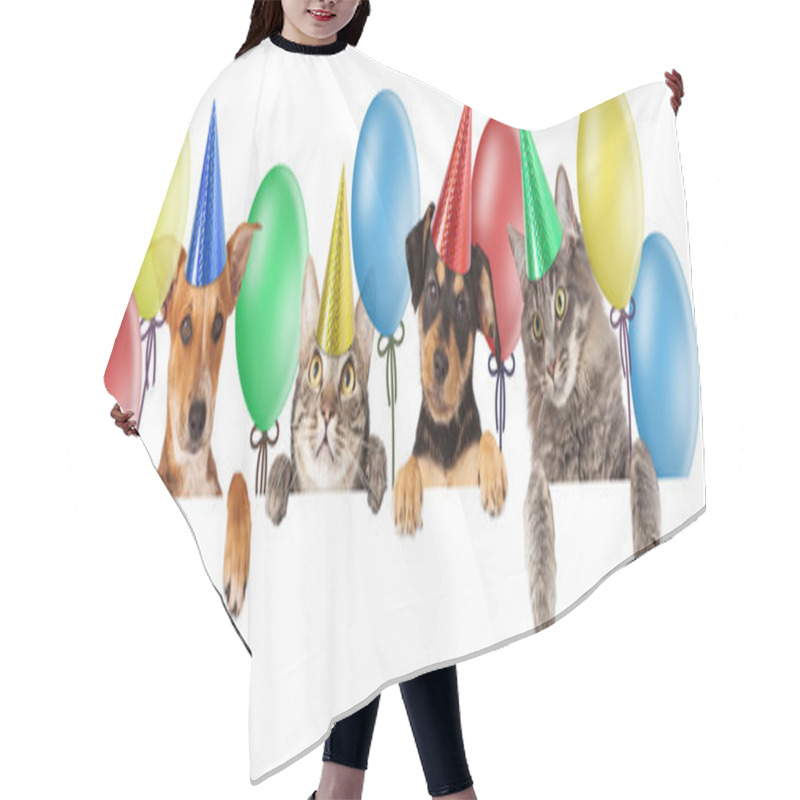 Personality  Birthday Group Of Cats And Dogs Hair Cutting Cape