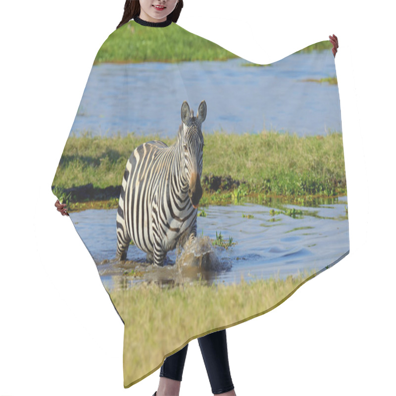 Personality  Zebra In National Park Of Kenya Hair Cutting Cape