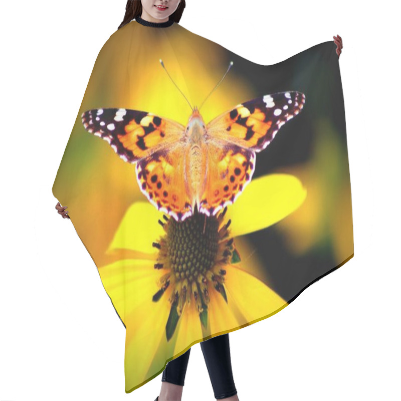 Personality  Vanessa Cardui Butterfly ( Echinacea Purpurea ) Hair Cutting Cape