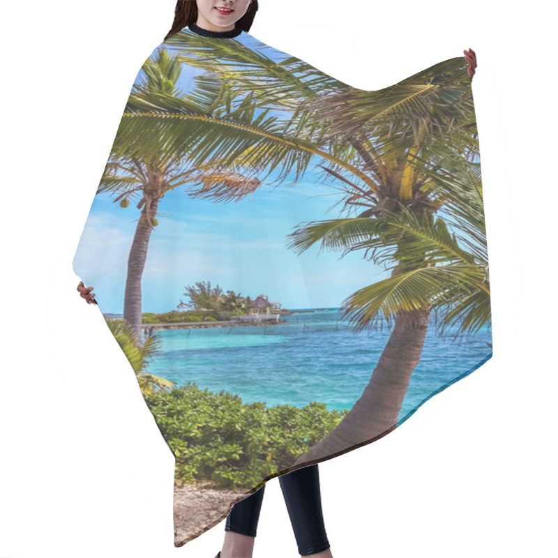 Personality  Tropical Island In Bahamas. View On The Beach With Palm Tree. Vacation Destination. Hair Cutting Cape