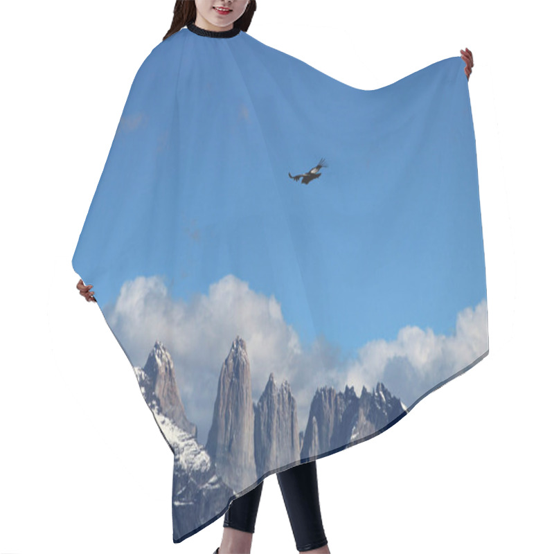 Personality  Andean Condors Fly In Parque Nacional Torres Del Paine In Chile Hair Cutting Cape