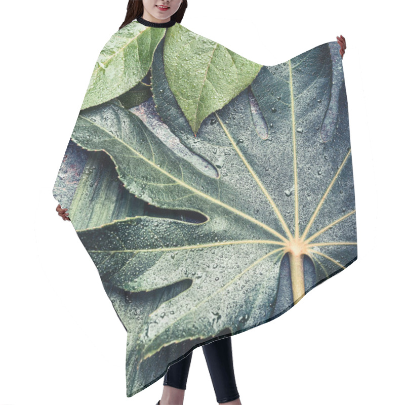 Personality  Creative Layout Made Of Tropical And Palm And Jungle  Leaves, Top View, Close Up Hair Cutting Cape