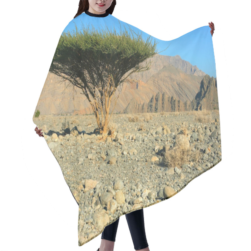 Personality  Single Tree In Omans Desert Hair Cutting Cape