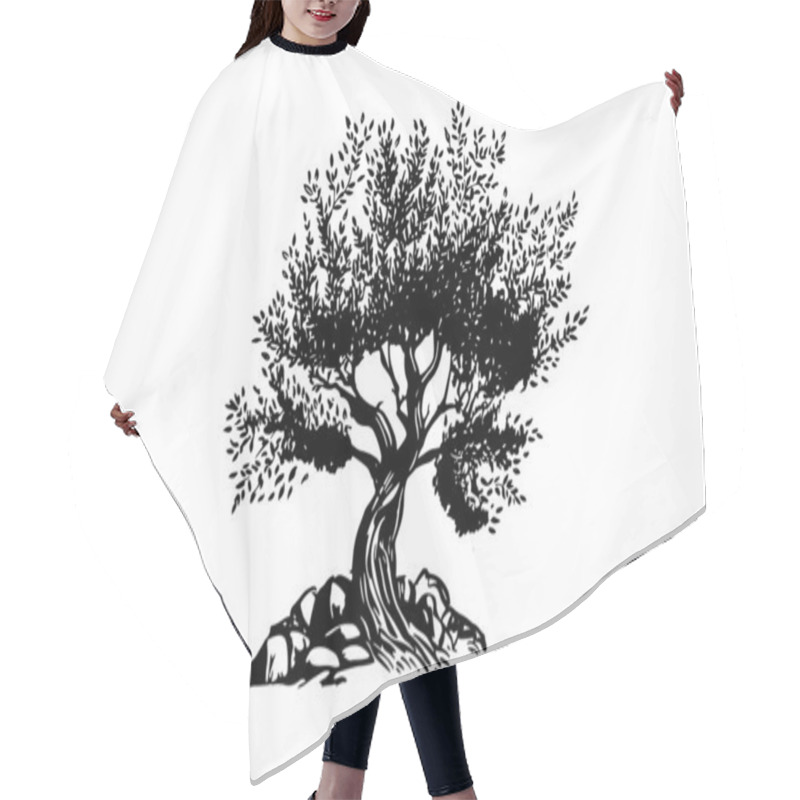 Personality  Olive Tree Hand Drawn Illustrations, Sketch. Vector. Hair Cutting Cape