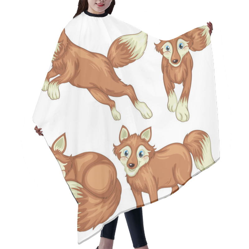 Personality  Four Foxes Hair Cutting Cape