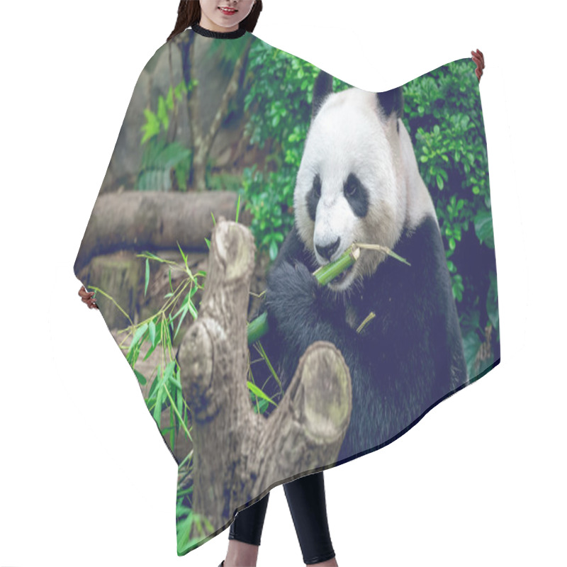 Personality  Giant Panda Hair Cutting Cape