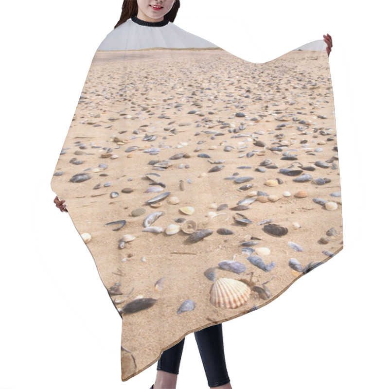 Personality  Shells On A Beach Hair Cutting Cape