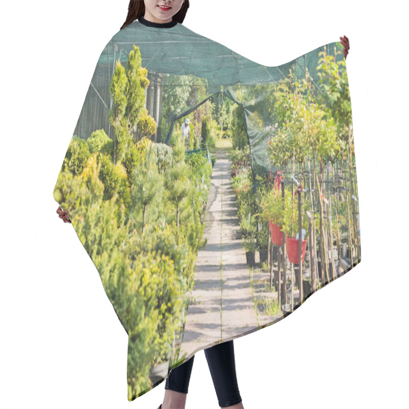 Personality  Walkway At Plant Nursery Hair Cutting Cape