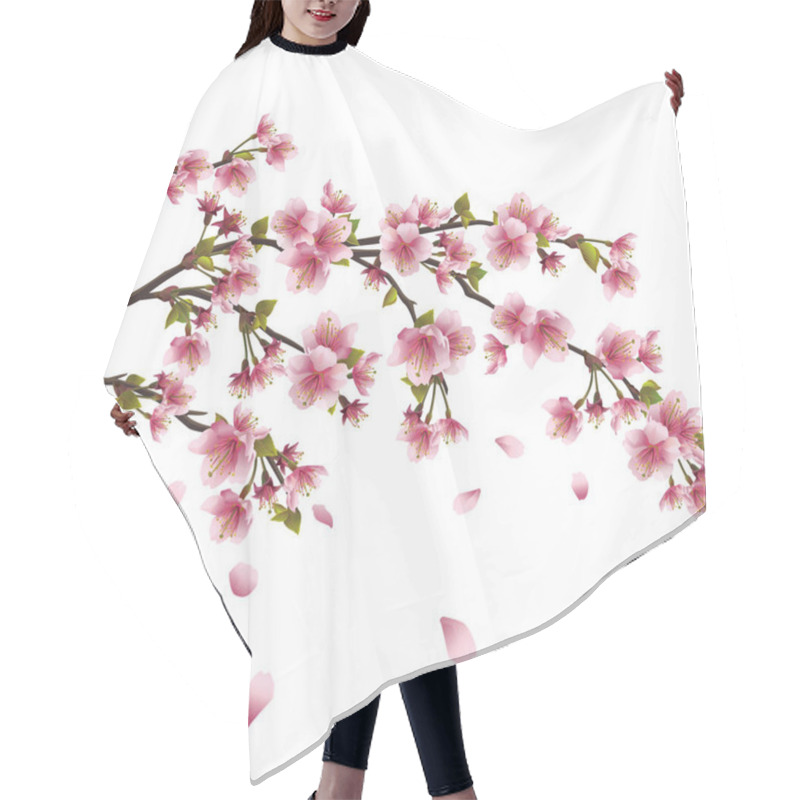 Personality  Sakura Blossom - Japanese Cherry Tree Isolated On White Backgrou Hair Cutting Cape