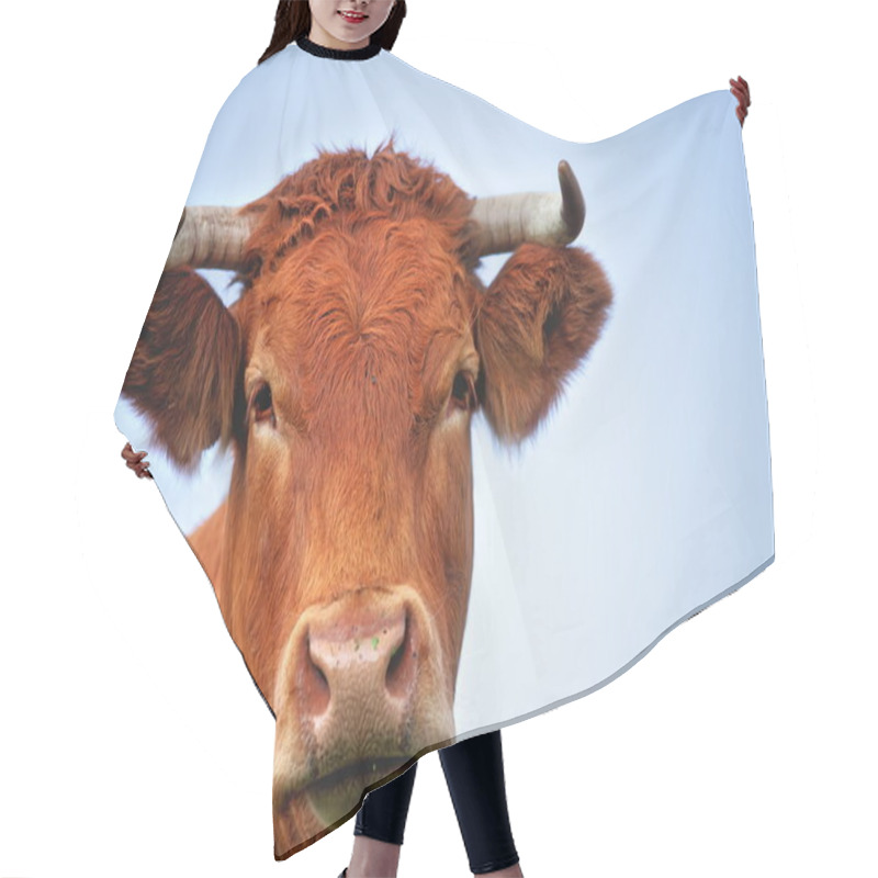 Personality  Red Bull Hair Cutting Cape