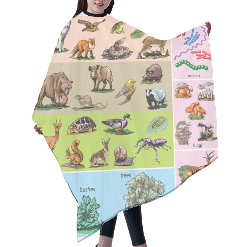 Personality  Forest Animals Hair Cutting Cape